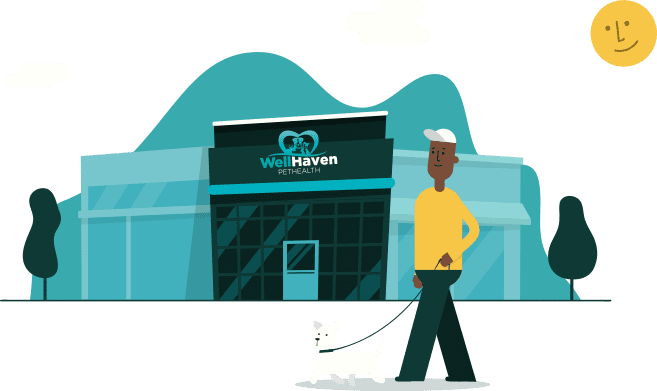Graphic of a man walking a dog in front of Wellhaven Pet Health Colorado Blvd.
