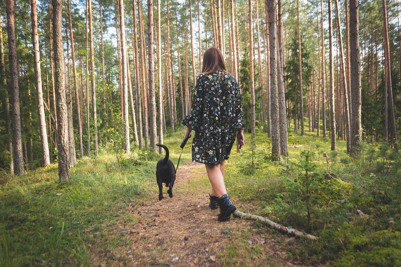 Woman walking a dog through the woods